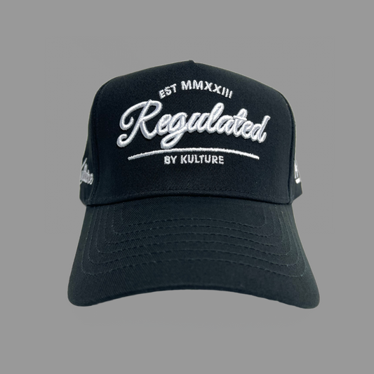 5 panel curved brim SnapBack