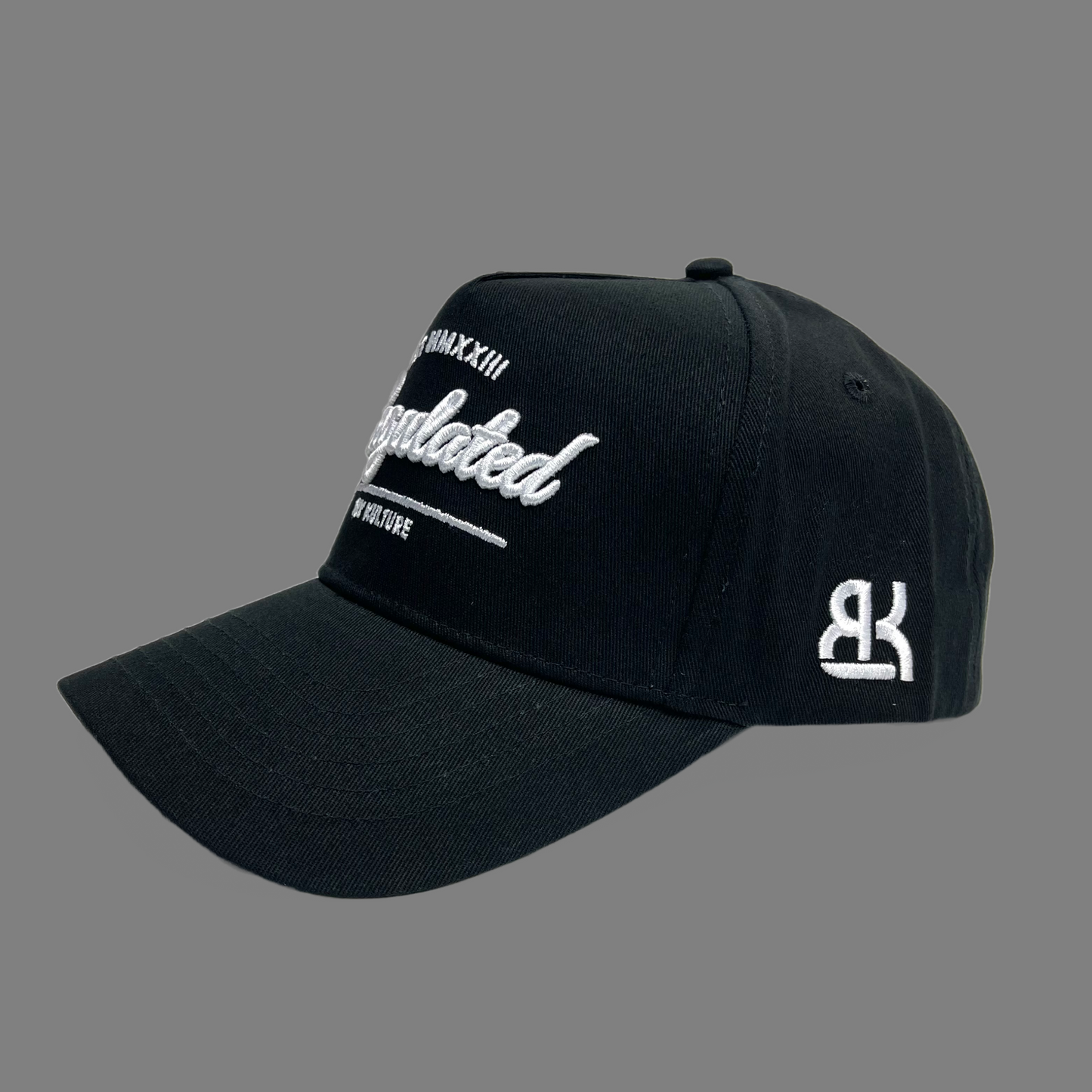 5 panel curved brim SnapBack